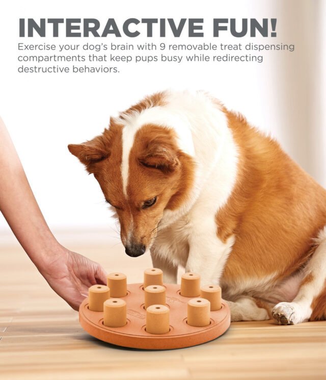 Nina Ottosson Dog Smart Composite Interactive Treat Puzzle